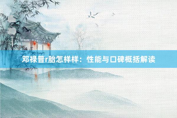 邓禄普r胎怎样样：性能与口碑概括解读